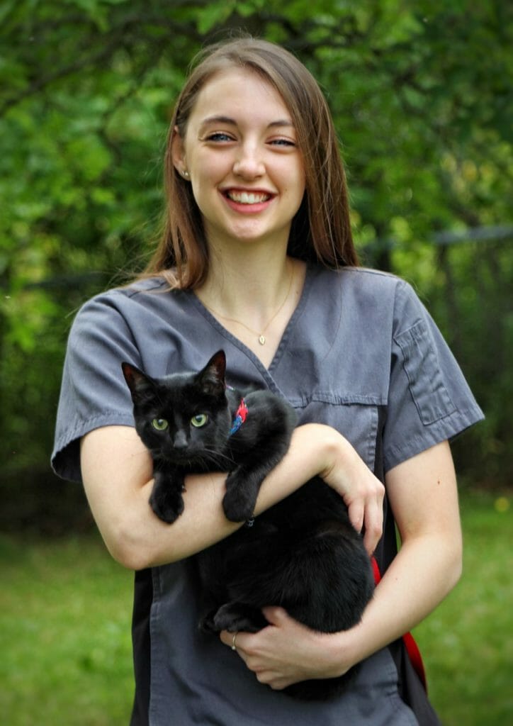 Technicien en santé animale tenant un chat