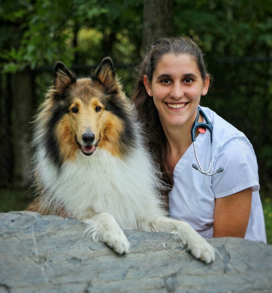 Technicien en santé animale avec un chien