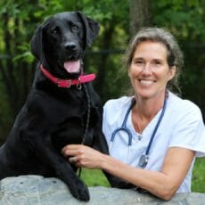 Technicien en santé animale avec un chien